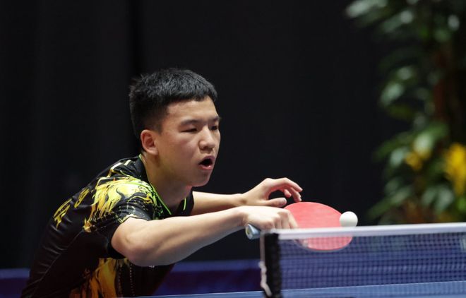 羽毛球运动 羽毛球运动